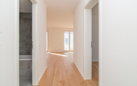 Real Estate Title Image Background