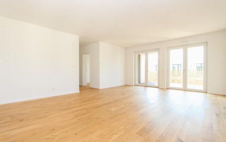Real Estate Title Image Background