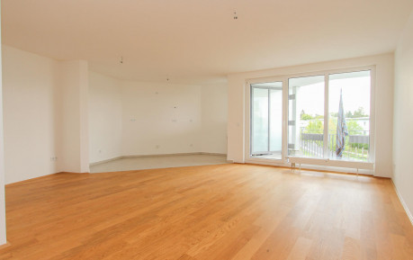 Real Estate Title Image Background